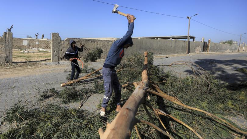 Palestinians cut down trees in cemeteries to get some firewood to use for lighting fires and cooking in the centre of Khan Younis, in the southern Gaza Strip.