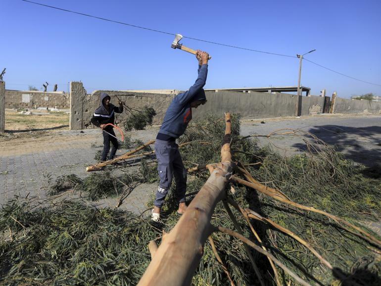 Palestinians cut down trees in cemeteries to get some firewood to use for lighting fires and cooking in the centre of Khan Younis, in the southern Gaza Strip.