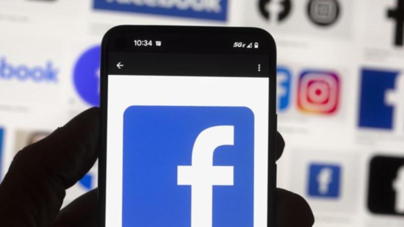 A former global diversity strategist at Facebook pleaded guilty to wire fraud after stealing more than $4 million from the social media giant.