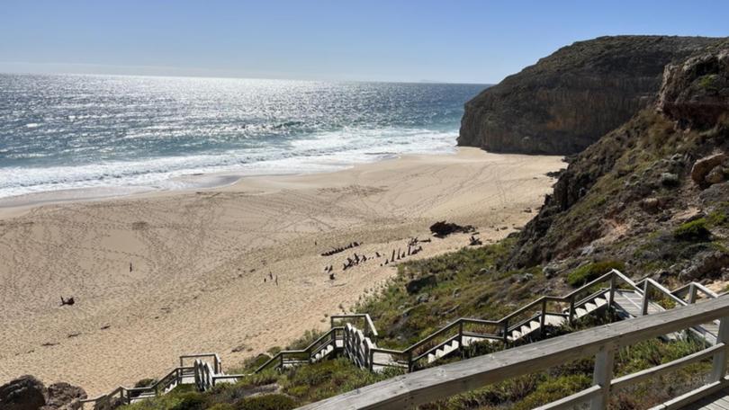Less than a fortnight after a teenager was killed by a shark, SA has reported another beach attack. (Jacob Shteyman/AAP PHOTOS)