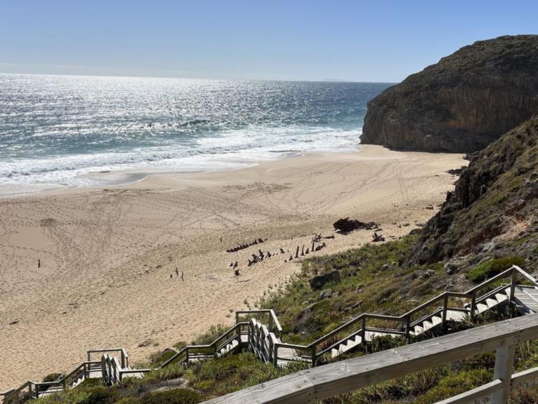 Less than a fortnight after a teenager was killed by a shark, SA has reported another beach attack. (Jacob Shteyman/AAP PHOTOS)