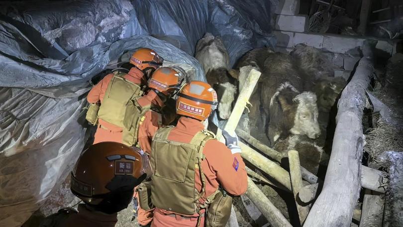 In this photo released by Xinhua News Agency, rescuers search through a quake-affected area in Yamansu Township, Wushi County of Aksu prefecture, China's Xinjiang, Tuesday, Jan. 23, 2024. An earthquake struck a sparsely populated part of China’s western Xinjiang region early Tuesday, injuring people and damaging or collapsing scores of homes in freezing cold weather, authorities said. (Wang Xudong/Xinhua via AP)