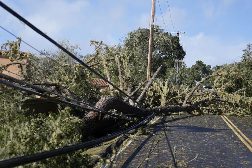 Fallen trees and power lines block a road in Pebble Beach, Calif., Sunday, Feb. 4, 2024. (AP Photo/Ryan Sun)