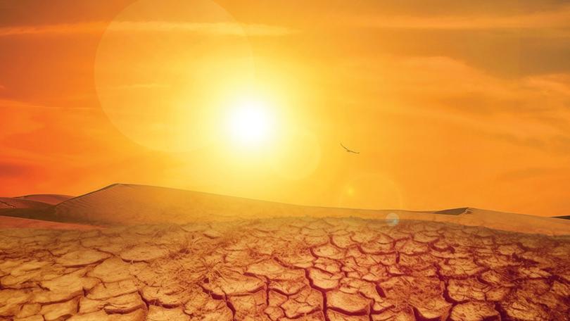 The world experienced its hottest year on record in 2023.