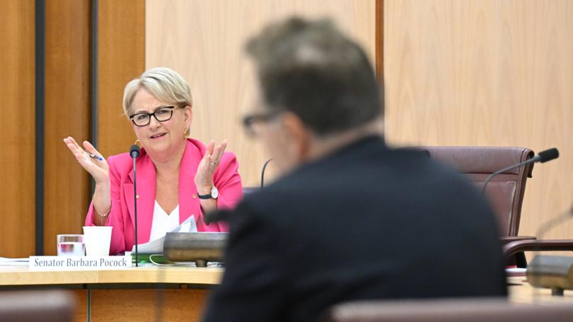 Australian Greens Senator Barbara Pocock reacts to PwC Australia CEO Kevin Burrowes during the Inquiry.