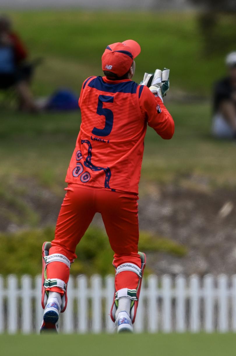 ADELAIDE, AUSTRALIA - FEBRUARY 14: Alex Carey of the Redbacks catches  Marnus Labuschagne of the Queensland Bulls during the Marsh One Day Cup match between South Australia and Queensland at Karen Rolton Oval, on February 14, 2024, in Adelaide, Australia. (Photo by Mark Brake/Getty Images)