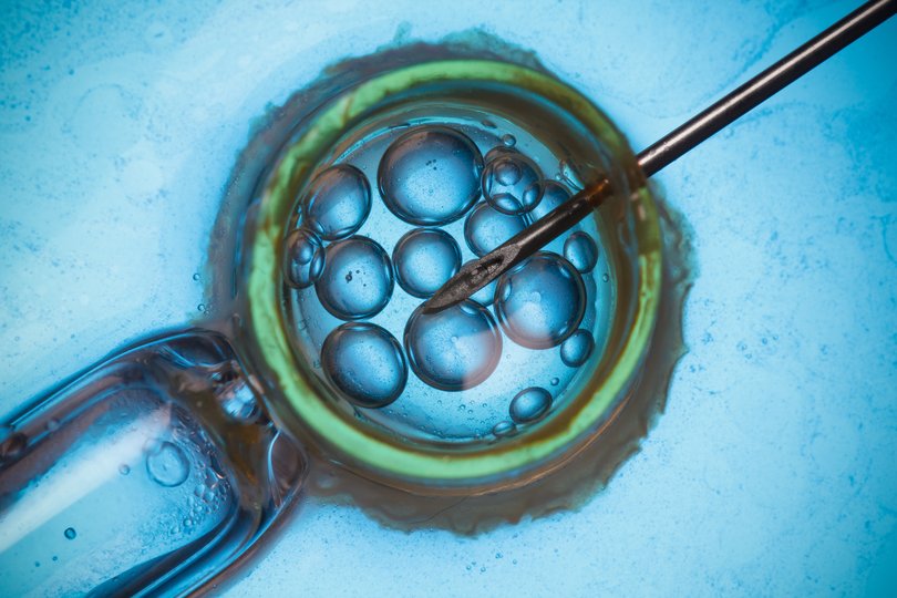 Critics of the court ruling say it could make fertility treatment too expensive and less accessible.