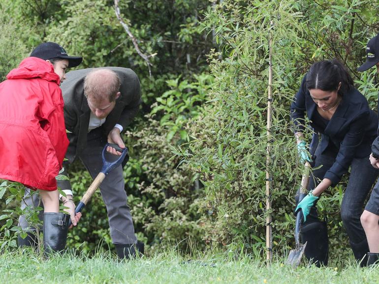 Prince Harry and Meghan use offsetting to cut their carbon footprint.