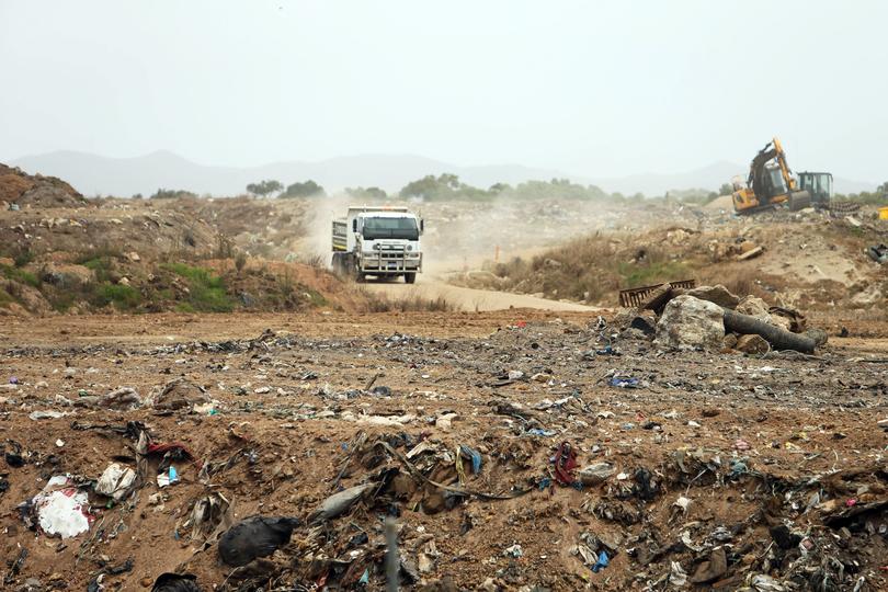 Oysters were dumped at the City of Albany's waste facility.