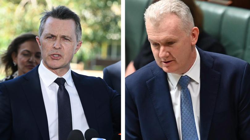 Jason Clare and Tony Burke are two federal ministers who have Airbnb properties.