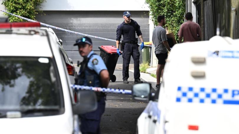 Police allege Jesse Baird and Luke Davies were shot dead at a Paddington property. 