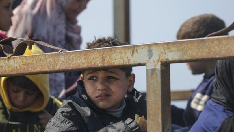 Boy sits in truck traveling from Gaza Strip's north to south