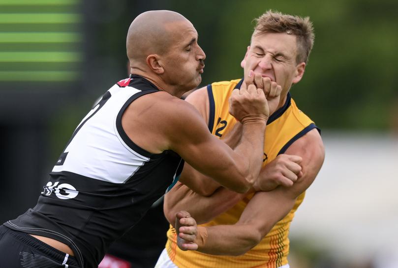 ADELAIDE, AUSTRALIA - FEBRUARY 23: Sam Powell-Pepper of the Power bumps Jordan Dawson of the Crows during an AFL practice match between Port Adelaide Power and Adelaide Crows at Alberton Oval on February 23, 2024 in Adelaide, Australia. (Photo by Mark Brake/Getty Images)