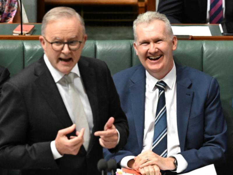 Anthony Albanese and Tony Burke