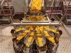 The health effects of ultra-processed foods have been likened to tobacco.