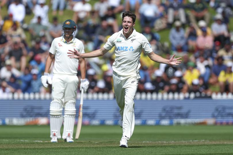 WELLINGTON, NEW ZEALAND - FEBRUARY 29: William O’Rourke of New Zealand appeals unsuccessfully for the wicket of Mitchell Marsh of Australia during day one of the First Test in the series between New Zealand and Australia at Basin Reserve on February 29, 2024 in Wellington, New Zealand. (Photo by Hagen Hopkins/Getty Images)