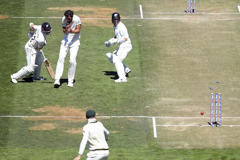 Australia's Mitchell Start, second left, flinches after New Zealand's Kane Williamson, left, and Will Young, right, collide and Williamson is run out on the second day of their cricket test match in Wellington, New Zealand, Friday March 1, 2024. (Kerry Marshall/Photosport via AP)