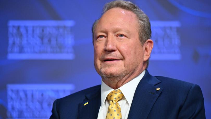 Business leader Andrew Forrest.