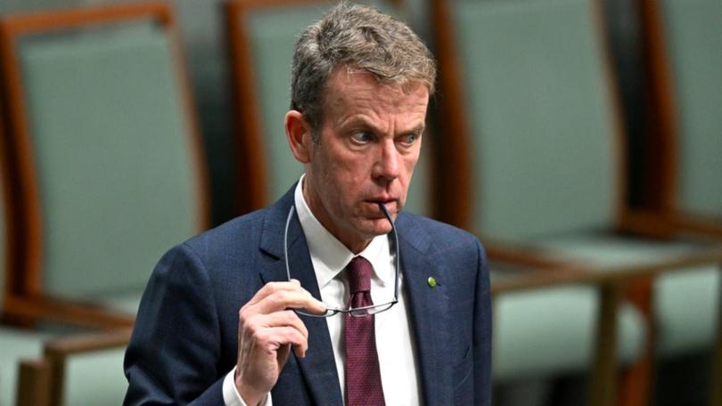 Dan Tehan has criticised Labor's "big Australia" policy. (