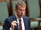 Dan Tehan has criticised Labor's "big Australia" policy. (
