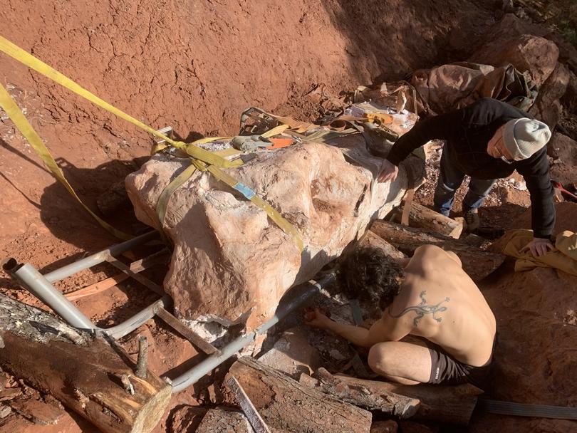 An archaeological team unearths a dinosaur bone at the site discovered by Damien Boschetto in southern France.