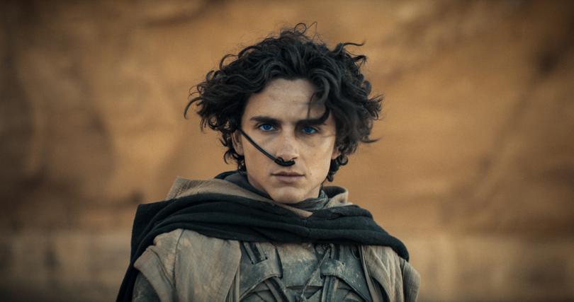 Timothee Chalamet is the star of the Dune franchise.