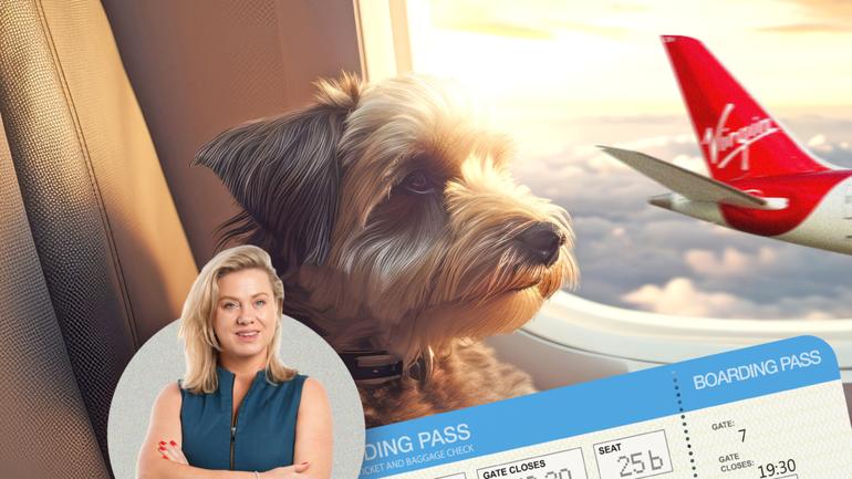 Sarah Blake writes that allowing pets on planes has the potential to improve Australian society as a whole.