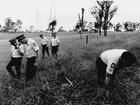 Police search the bush during the Anita Cobby case back in 1986.