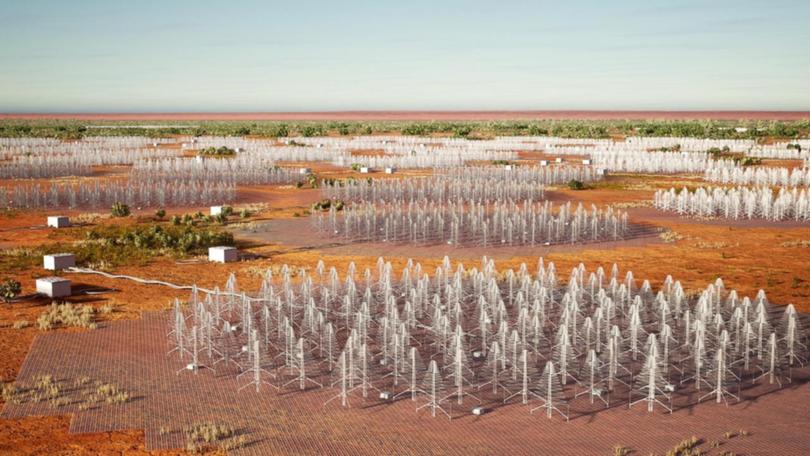 More than 130,000 two-metre-tall antennas will be installed at the Square Kilometre Array site. 