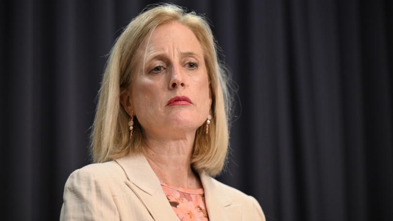 Australian Finance Minister Katy Gallagher says the new procurement policy is a “carrot” – rather than a stick.