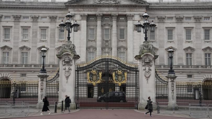 A man is in custody after a car crashed into the gates of Buckingham Palace, British police say.