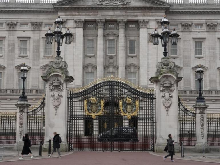 A man is in custody after a car crashed into the gates of Buckingham Palace, British police say. 