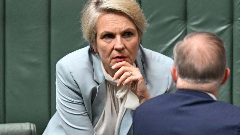 Environment Minister Tanya Plibersek announced an overhaul of the EPBC in December 2022 and promised to strengthen environmental protections, slash red tape and speed up decision-making times. 