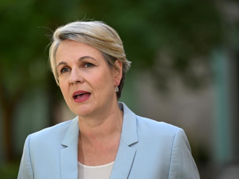 Tanya Plibersek