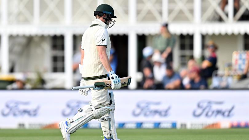 Steve Smith has so far struggled to impose himself as a Test opener for Australia.