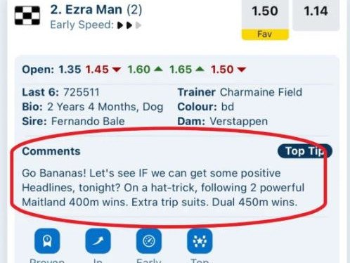 The offending Ezra Mam Greyhounds NSW post.