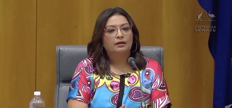 Greens Senator Mehreen Faruqi is claiming Hanson engaged in unlawful offensive behavior because of race, colour or national or ethnic origin under the Racial Discrimination Act. 