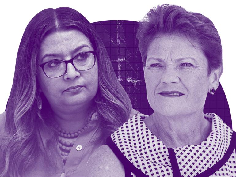 Mehreen Faruqi, the Lady of Lahore, and Pauline Hanson, the Incel of Ipswich, are not polite people.