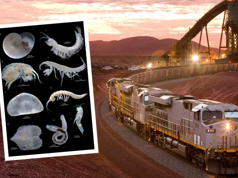 The stygofauna problem has spread to Rio Tinto's Brockman iron ore project.
