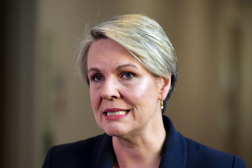 Shadow Minister for Education Tanya Plibersek being interviewed at a press conference at Parliament House in Canberra, Tuesday, March 16, 2021. (AAP Image/Mick Tsikas) NO ARCHIVING