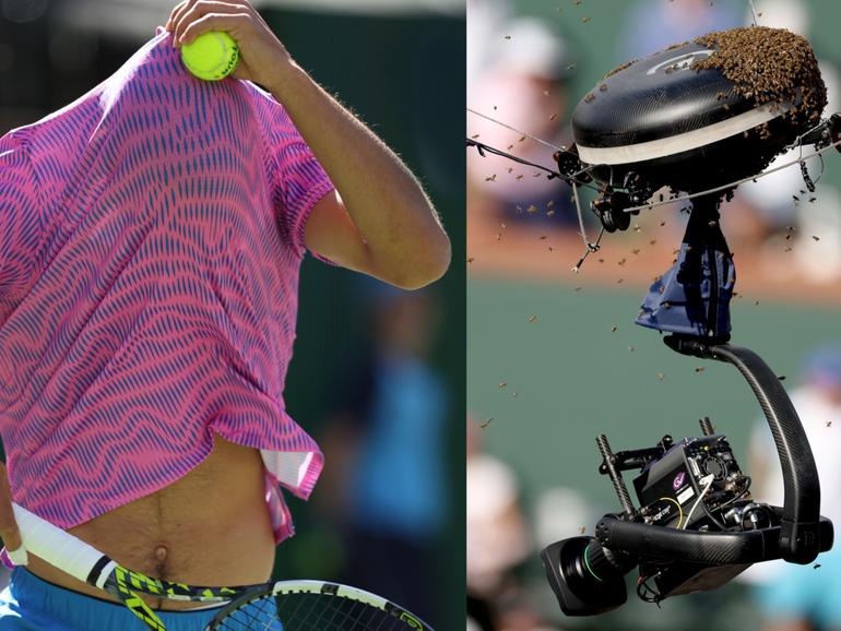 Carlos Alcaraz hides under his shirt as a swarm of bees invade the court whilst playing against Alexander Zverev.