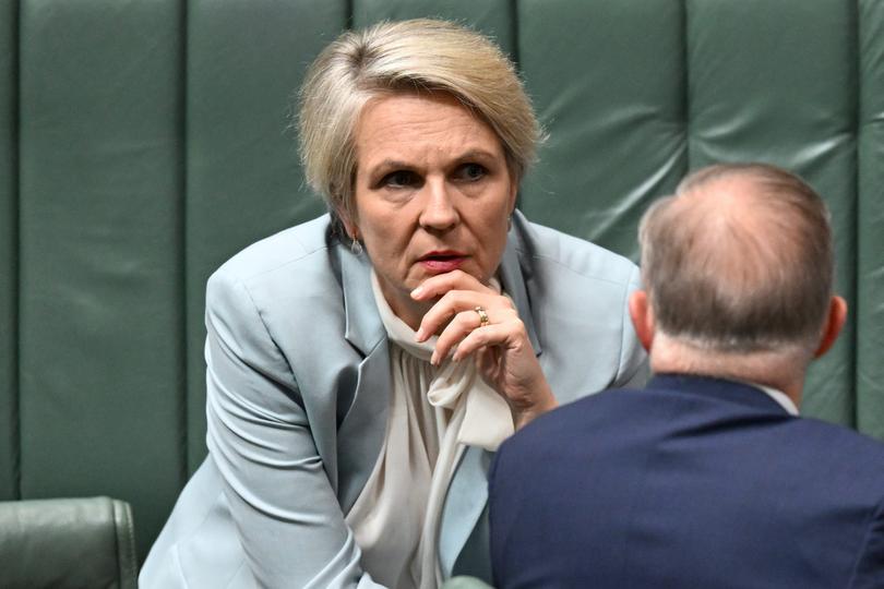 Australian Prime Minister Anthony Albanese speaks to Australian Environment Minister Tanya Plibersek during House of Representatives Question Time at Parliament House in Canberra, Tuesday, February 27, 2024. (AAP Image/Lukas Coch) NO ARCHIVING