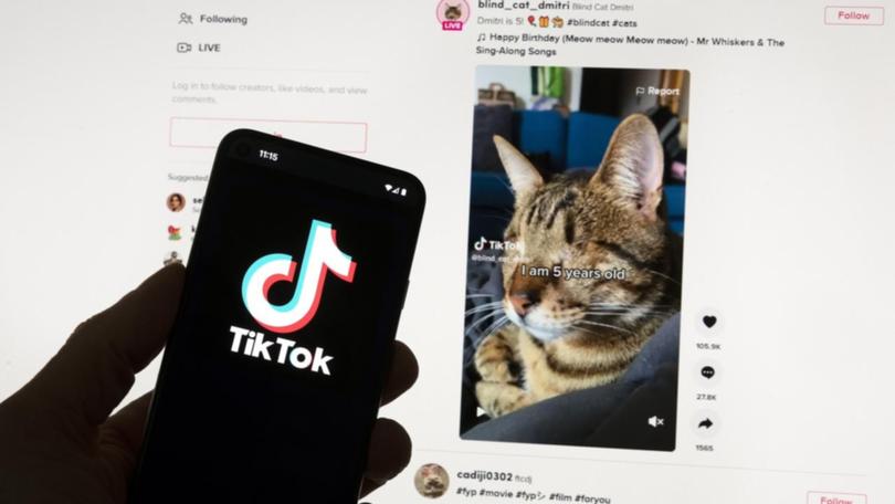 US politicians say TikTok poses a security risk as data could be shared with the Chinese government.