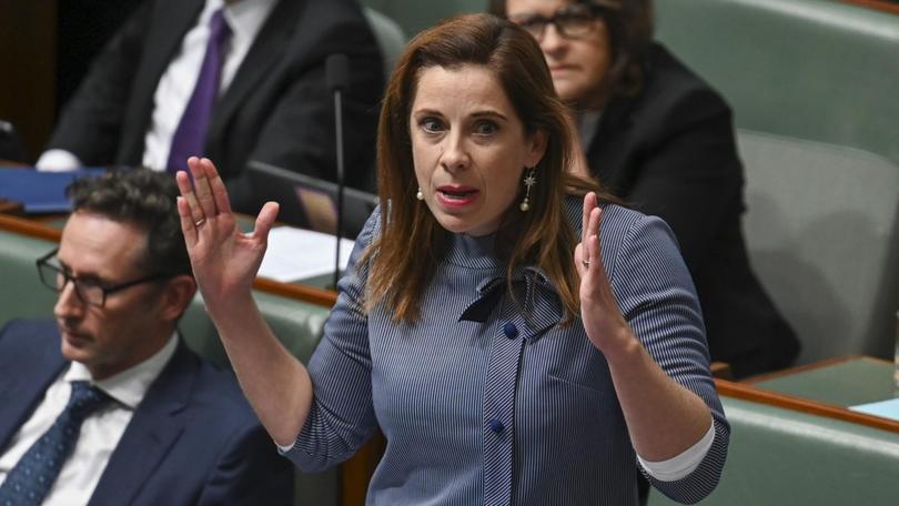 An expert panel, led by Aged Care Minister Anika Wells, recommended older Australians who do not qualify for age pensions pay more for some elements.
