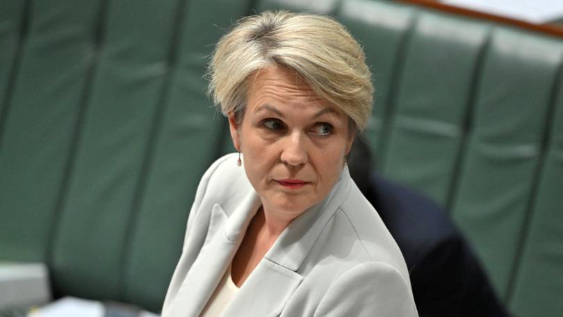 Minister for Environment Tanya Plibersek.