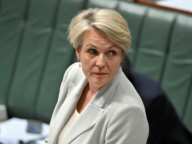 Minister for Environment Tanya Plibersek.