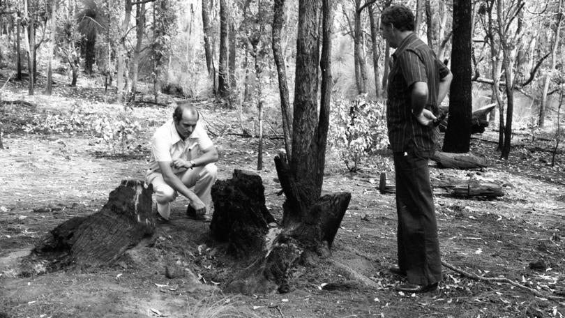 Detective Sergeant Ron Whitmore (right) and Detective John Young inspect the stump where the body of Kerryn Tate was found. 