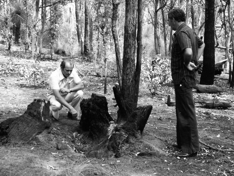 Detective Sergeant Ron Whitmore (right) and Detective John Young inspect the stump where the body of Kerryn Tate was found. 