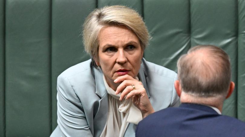 Environment Minister Tanya Plibersek says the overhaul will speed up project approvals while improving environmental protections - but industry and green groups have grave concerns.