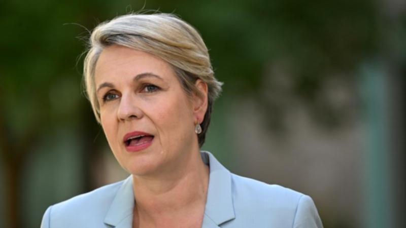 Far from Ms Plibersek’s pledge that the reform would both speed up approval processes and improve environmental outcomes, miners warn the Nature Positive plan could increase regulatory burden, and litigation risk and blow out project timelines even further.